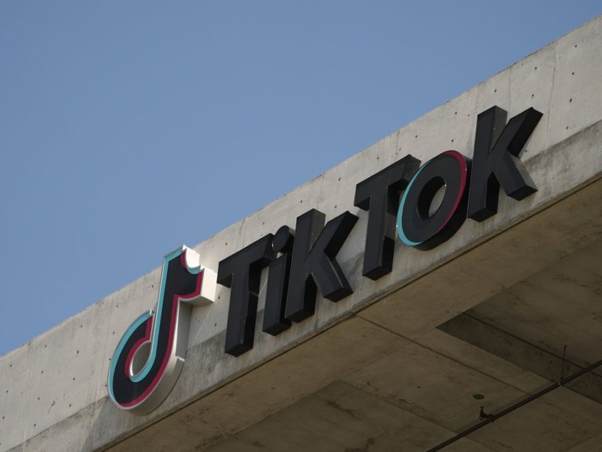 States sue TikTok, claiming its platform is addictive and harms the mental health of children --[Reported by Umva mag]