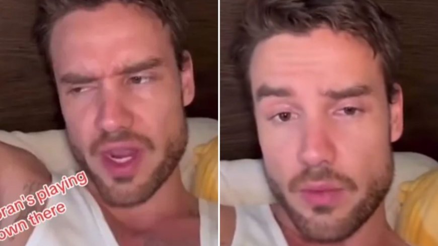 ‘Is he ok?’ ask fans as Liam Payne posts rambling Snapchat video talking about celeb mates --[Reported by Umva mag]