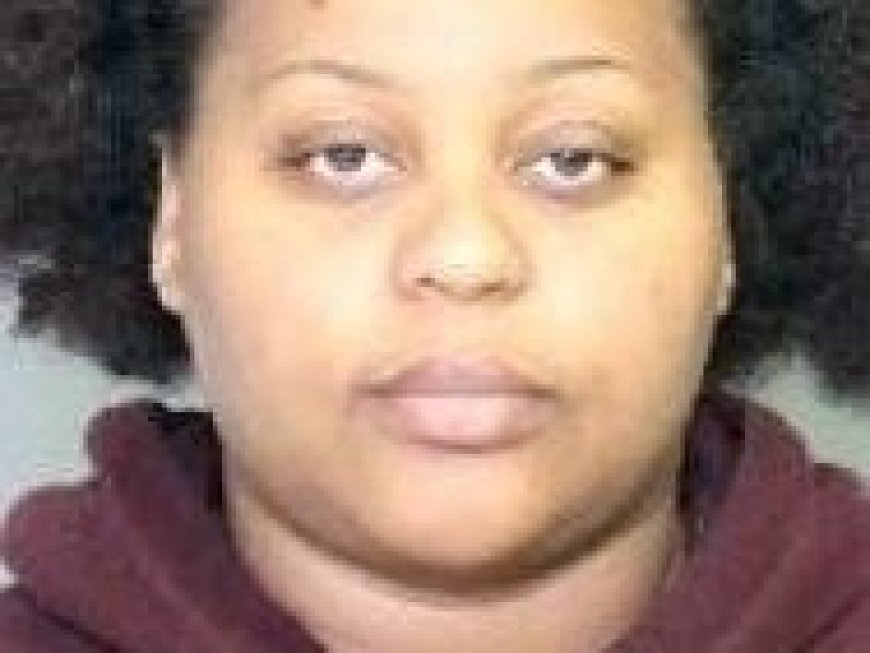 Woman charged in $800,000 fraud case --[Reported by Umva mag]