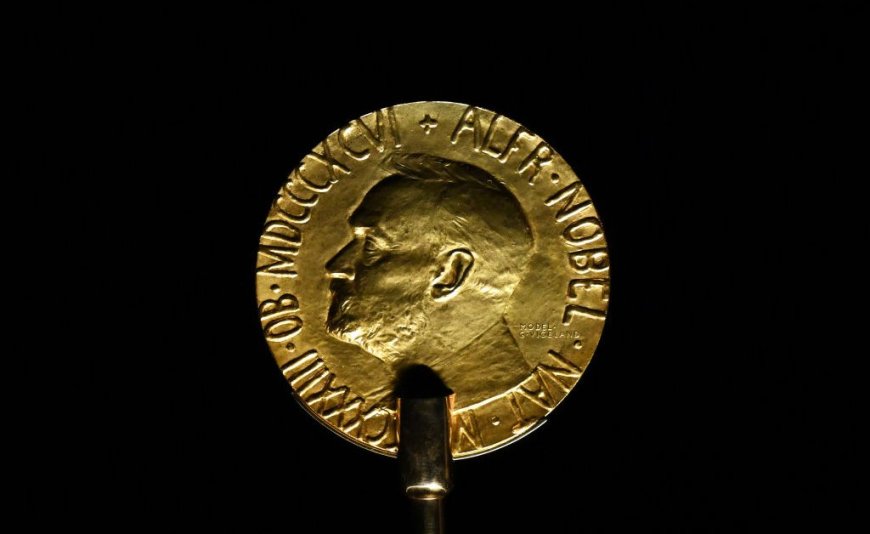 Here Are the Favorites to Win the 2024 Nobel Peace Prize --[Reported by Umva mag]