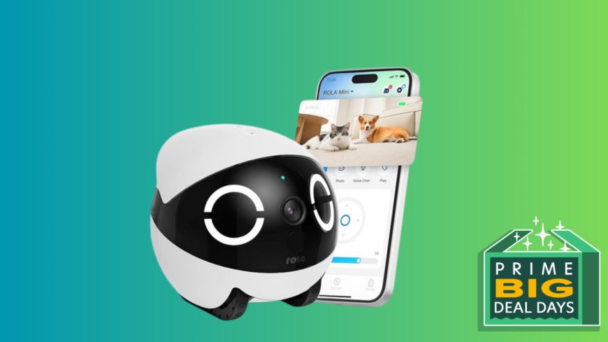 Why the ROLA Mini Pet Camera Is My Favorite Deal for October Prime Day --[Reported by Umva mag]