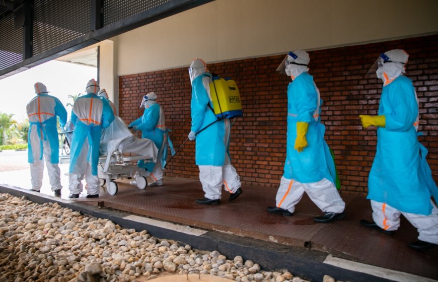 WHO seeks $7.7m to support Rwanda’s Marburg outbreak --[Reported by Umva mag]