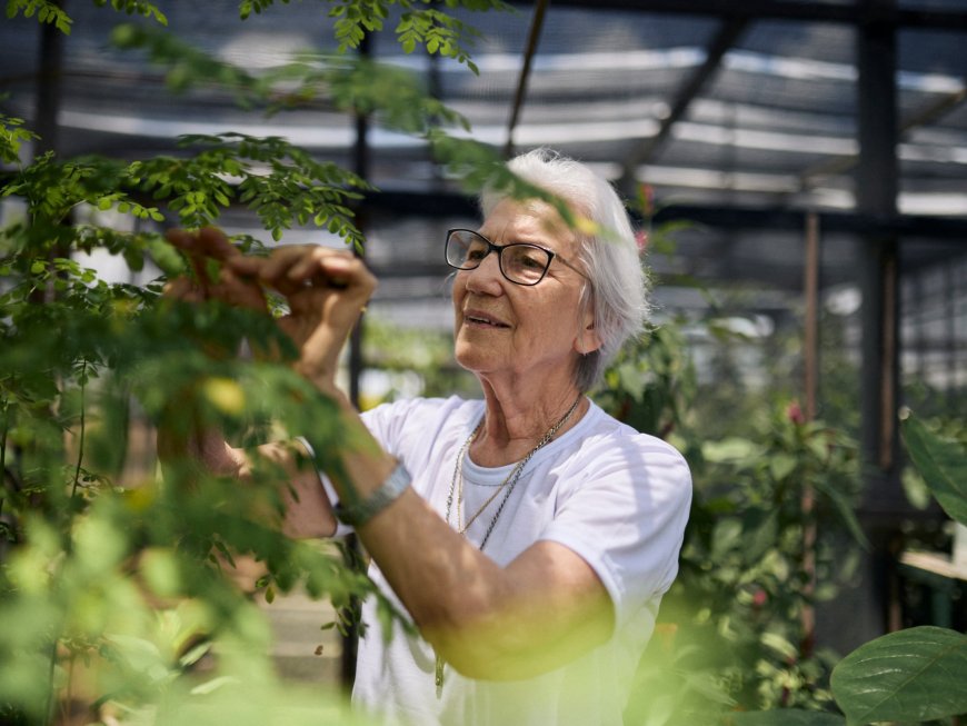 Brazilian nun awarded UN refugee prize --[Reported by Umva mag]