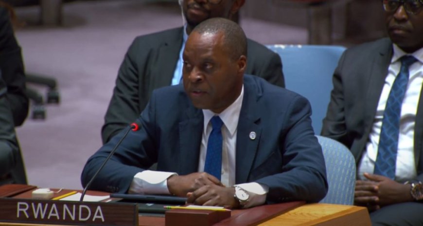 Rwanda not responsible for DR Congo’s 250 armed groups, says envoy --[Reported by Umva mag]