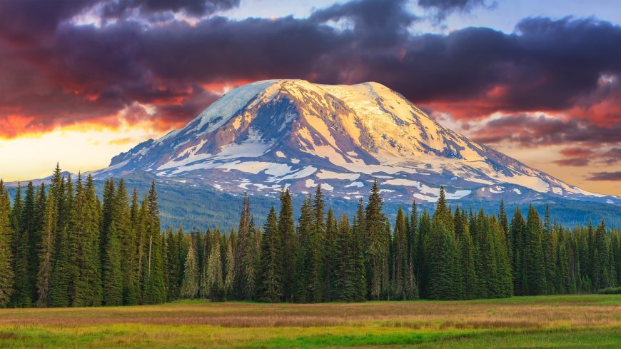 'Every volcano has its own personality': Mystery Mount Adams earthquake surge under investigation --[Reported by Umva mag]