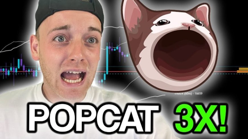 Popcat (SOL) Maintains $1 Billion Market Cap as New Vote-to-Earn Crypto Frenzy Heats Up --[Reported by Umva mag]