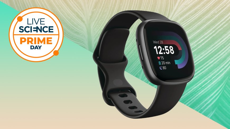 The best Prime Day Fitbit deals we've seen this year 2024 --[Reported by Umva mag]