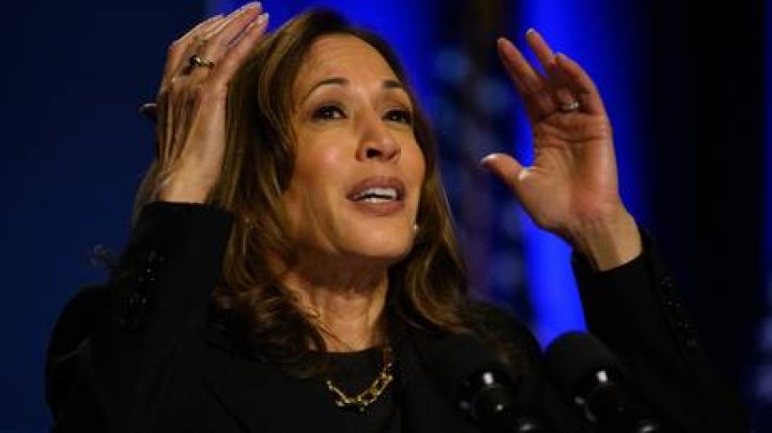 Harris’ remarks about Putin ‘outrageous’ – Moscow --[Reported by Umva mag]