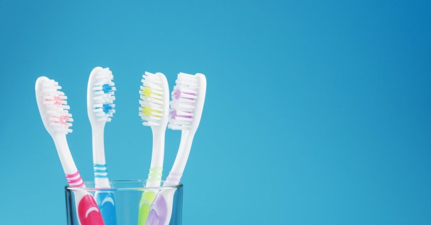 Tons of Viruses Live in Your Toothbrush and Showerhead --[Reported by Umva mag]