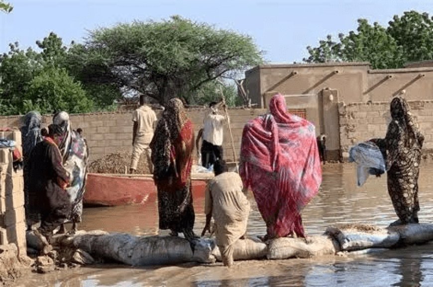 Floods in Niger cause hundreds of deaths --[Reported by Umva mag]