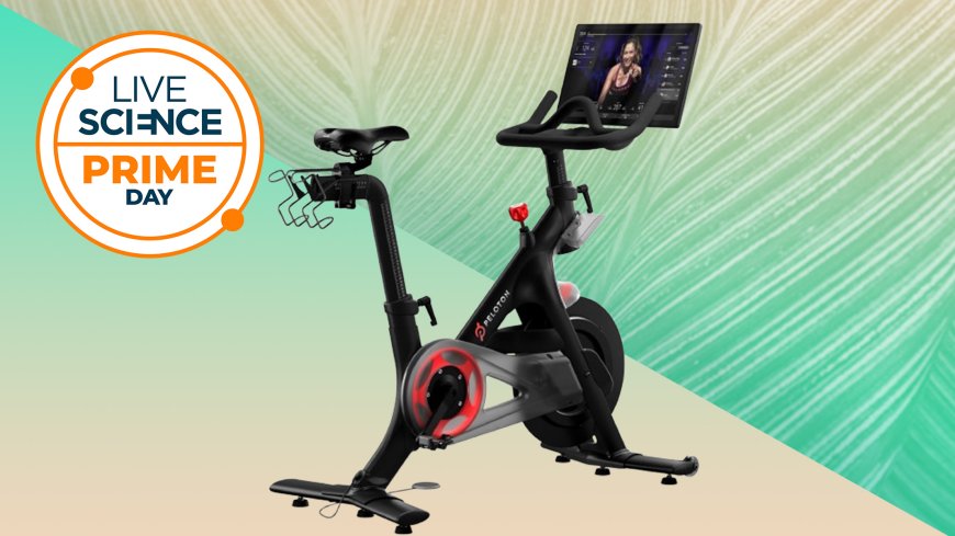 Save on a Peloton Bike for Prime Day and keep fit indoors all winter --[Reported by Umva mag]