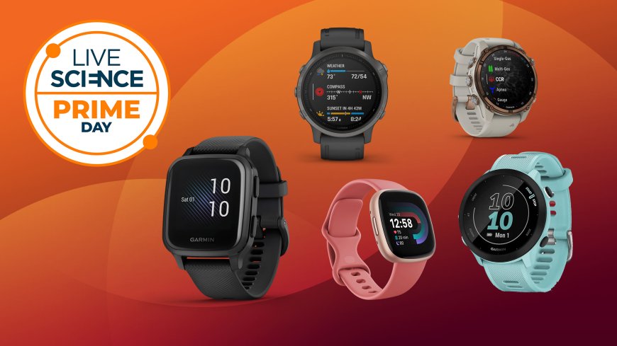 Anti Prime Day deals: These are the top 6 fitness trackers we would buy today --[Reported by Umva mag]