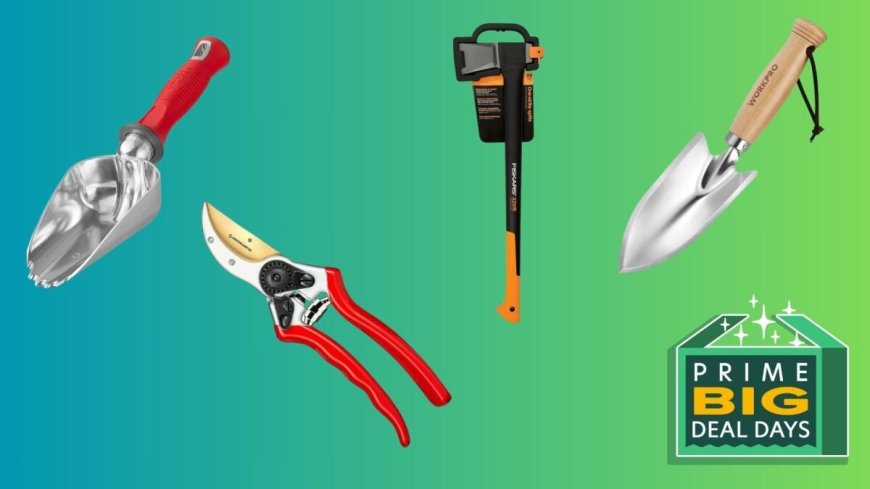 The Six Garden Hand Tools I Use Every Day Are on Sale --[Reported by Umva mag]