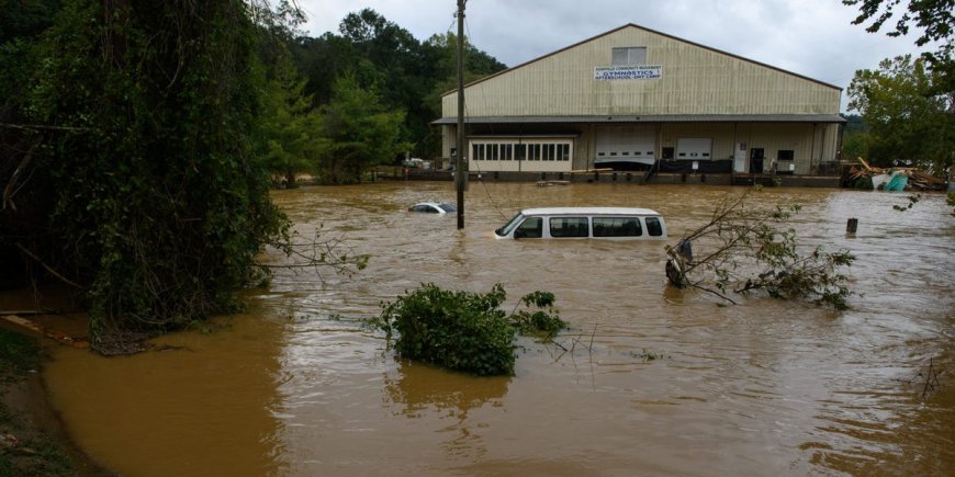 Hurricanes are taking the election by storm. Here's where Harris and Trump stand on natural disaster policies. --[Reported by Umva mag]