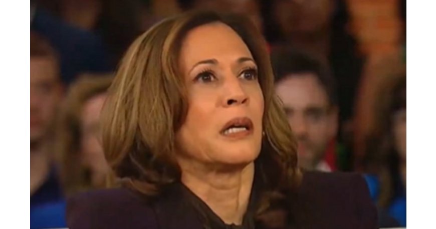 CNN: Source Close to Harris Campaign Panicking and Having “Flashbacks to 2016” After Kamala’s Media Blitz Turns Into Doom Spiral (VIDEO) --[Reported by Umva mag]