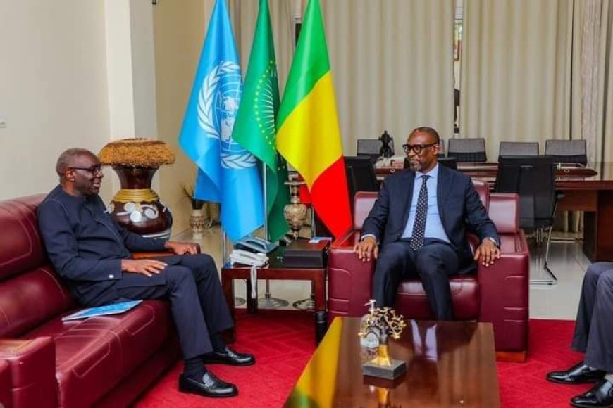 Mali, UN reaffirm continued cooperation --[Reported by Umva mag]