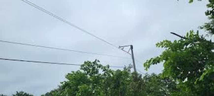 Seven energy workers electrocuted in Gambia --[Reported by Umva mag]