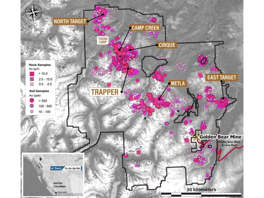 Brixton Metals Drills 41.00m of 1.08 g/t Gold including 6.00m of 4.19 g/t Gold all within 254.00m of 0.48 g/t Gold at its Trapper Target on the Thorn Project --[Reported by Umva mag]