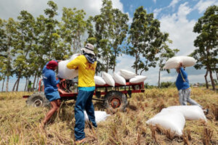 NFA to discontinue palay re-bagging; cost savings to boost procurement --[Reported by Umva mag]