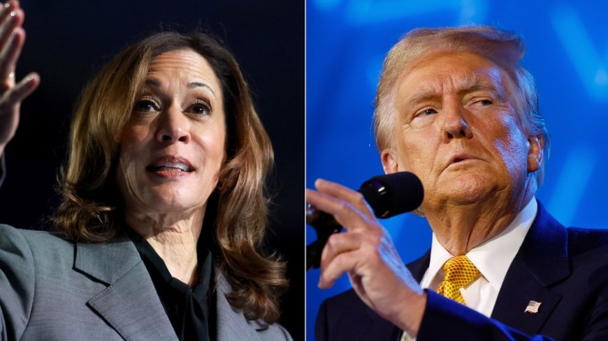 Harris' struggles with Michigan’s working class voters provides opening for Trump, GOP --[Reported by Umva mag]