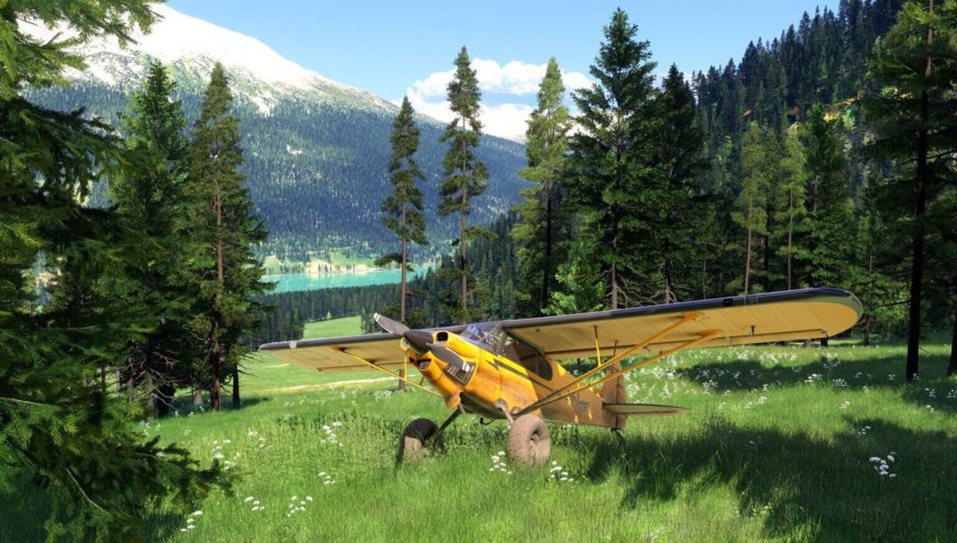 Apply now for Microsoft Flight Simulator 2024’s free alpha test --[Reported by Umva mag]