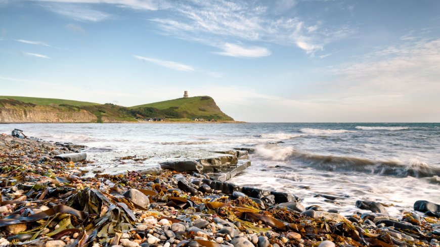 Stretch of English coast where dinosaurs roamed – with some of the world’s best fossil hunting & Portuguese-like beaches --[Reported by Umva mag]