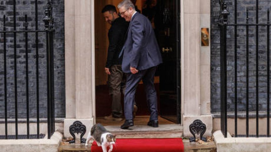 Downing Street’s ‘chief mouser’ snubs Zelensky (VIDEO) --[Reported by Umva mag]