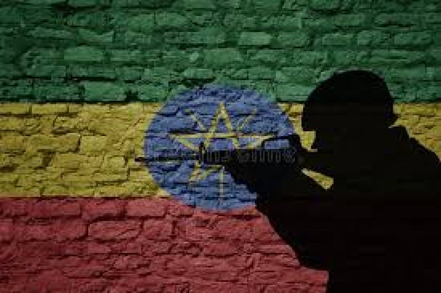 Countries ‘alarmed by Ethiopia rights violations’ --[Reported by Umva mag]