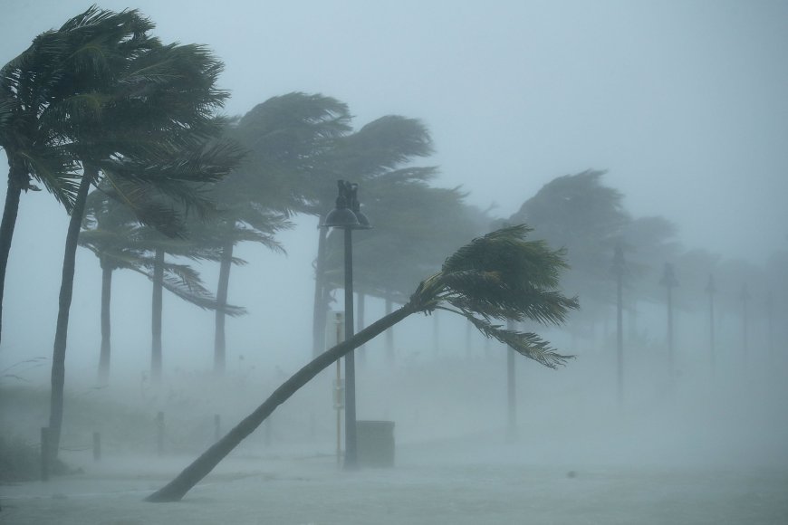 Hurricane Milton: What to know if you are traveling to Florida --[Reported by Umva mag]