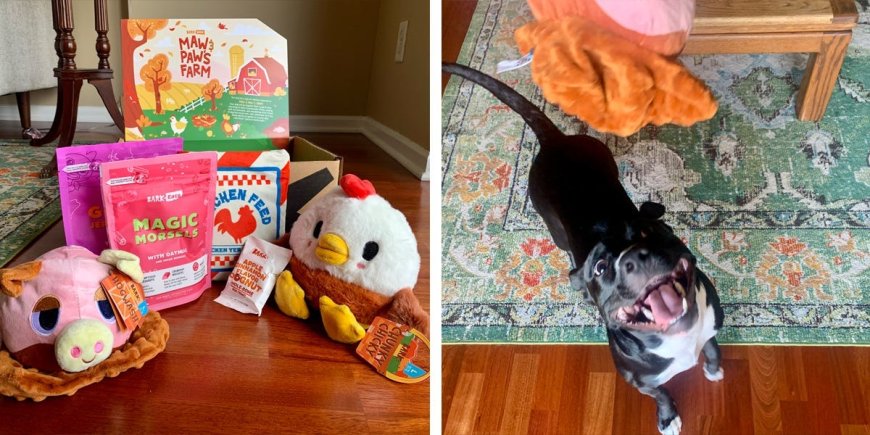 A BarkBox subscription is the perfect way to spoil your dog with unique toys and treats every month --[Reported by Umva mag]