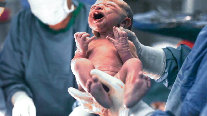 Woke hospital bosses ban staff from saying babies are born male or female --[Reported by Umva mag]