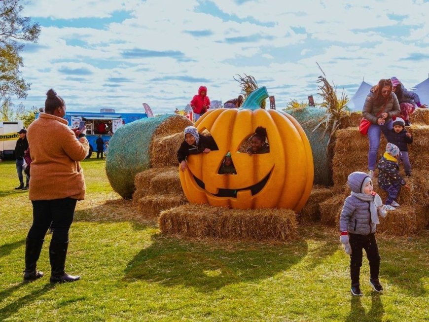 Pumpkinfest and more to be thankful for this long weekend in Toronto --[Reported by Umva mag]