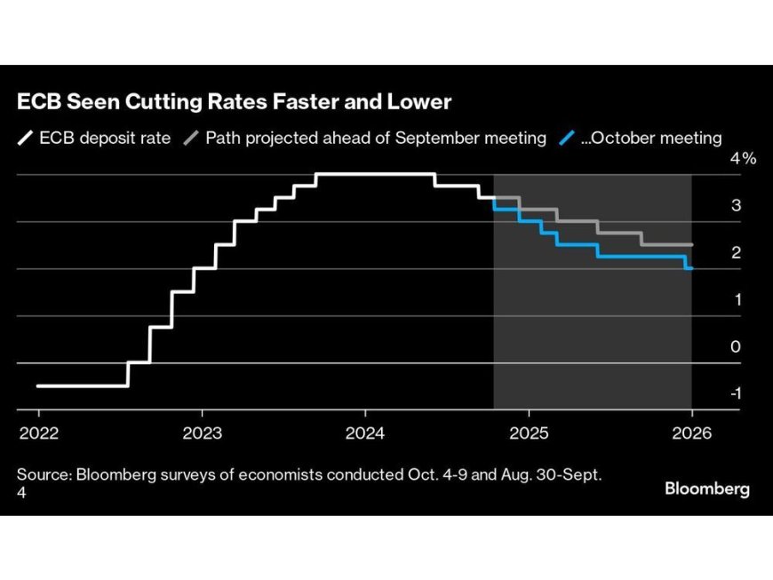 ECB Seen Cutting Faster to Release Economic Shackles Next Year --[Reported by Umva mag]