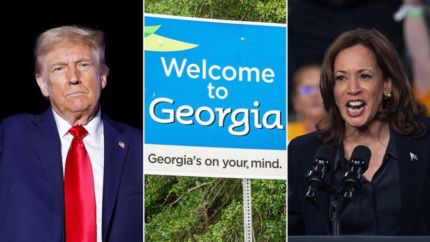 'The epicenter': How 'key' to White House could lie in suburban Georgia county --[Reported by Umva mag]