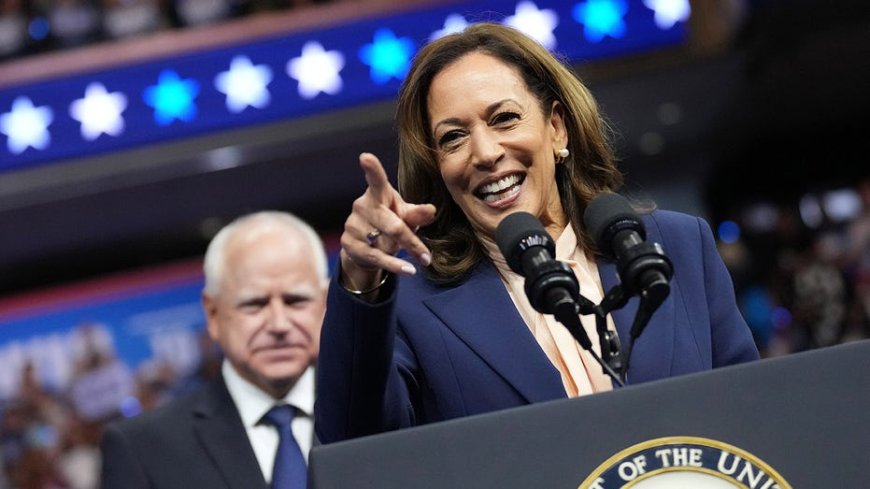 Kamala Harris claims she supports small business. She doesn't and I have the receipts --[Reported by Umva mag]