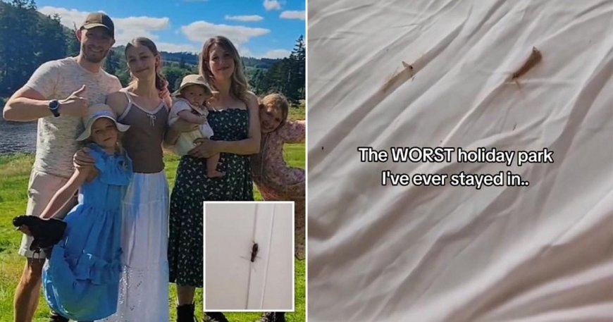 Family claims holiday park caravan had ‘stained bedsheets and bugs in room’ --[Reported by Umva mag]