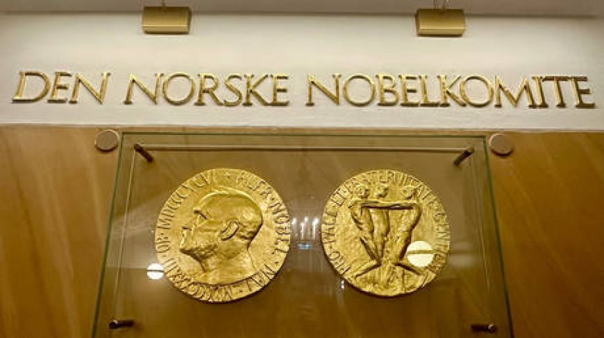 Nobel Peace Prize goes to anti-nuclear-weapons movement --[Reported by Umva mag]