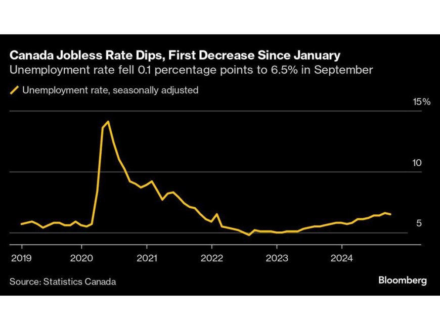 Canada Jobless Rate Dips, Firming Case for Gradual Rate Cuts --[Reported by Umva mag]