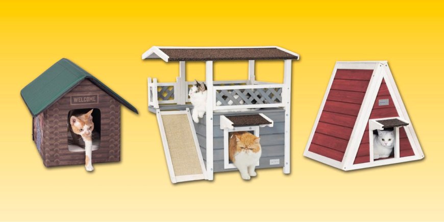 The 9 best outdoor cat houses to keep felines warm all winter long --[Reported by Umva mag]