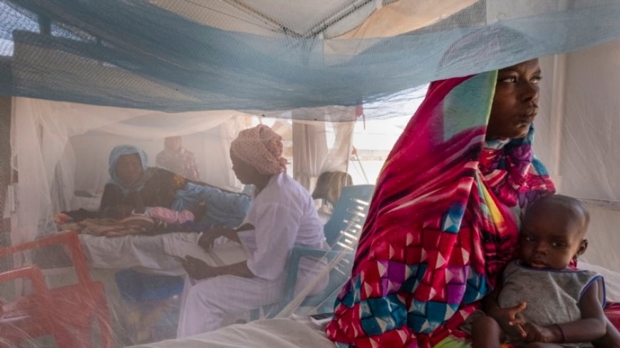 'Nightmare, hell': MSF workers recount plight of Sudan war victims --[Reported by Umva mag]