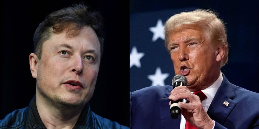 Elon Musk might have to convince Trump not to 'stop' autonomous vehicles if he's reelected --[Reported by Umva mag]