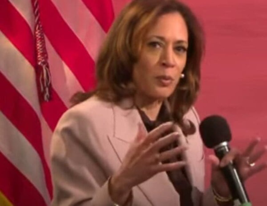 Kamala Harris Blasts Trump For Trashing Detroit --[Reported by Umva mag]