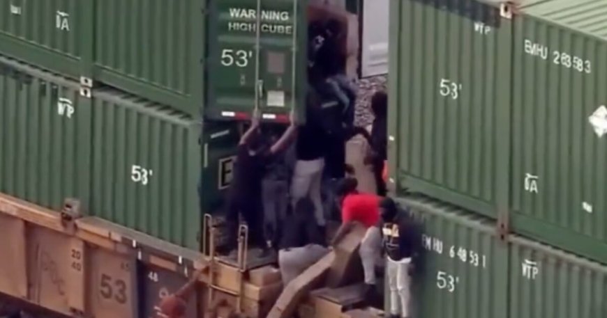 Dozens of Thieves Ransack Freight Train in Chicago (VIDEO) --[Reported by Umva mag]