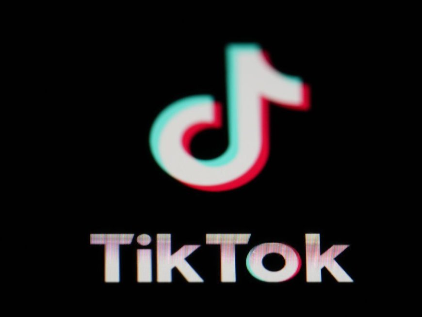 TikTok was aware of risks kids and teens face on its platform, legal document alleges --[Reported by Umva mag]