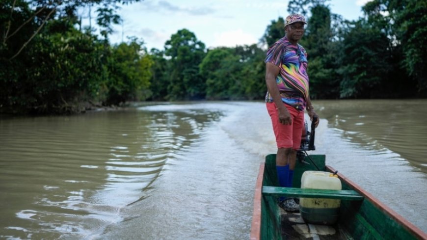 River guardians risk own lives as they work to protect, restore Colombia's Atrato --[Reported by Umva mag]