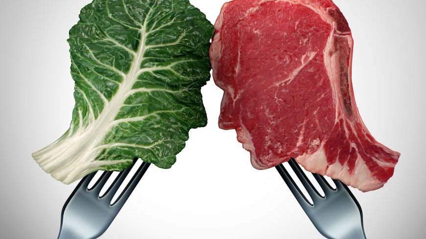 Why does meat have more protein than vegetables? --[Reported by Umva mag]