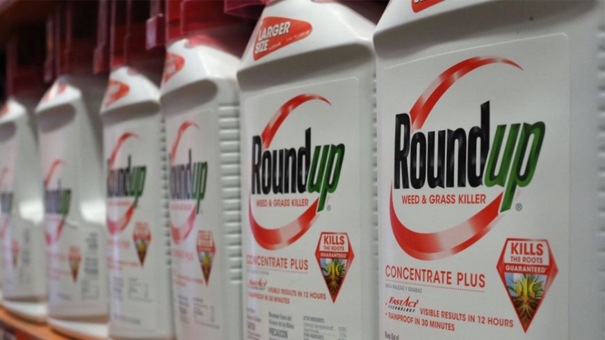 Roundup weed killer cancer lawsuits keep mounting as Pennsylvania man is awarded $78 million --[Reported by Umva mag]