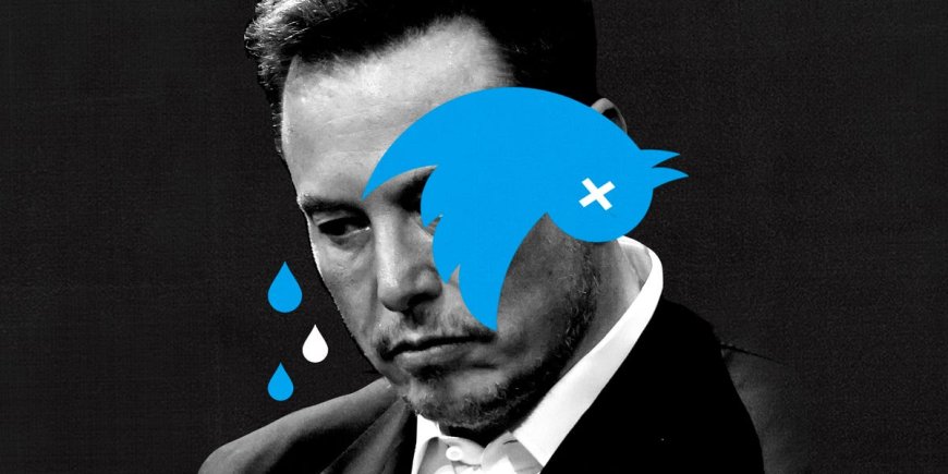 Tesla investors don't seem to trust Elon Musk like they used to. Is that because of Twitter? --[Reported by Umva mag]