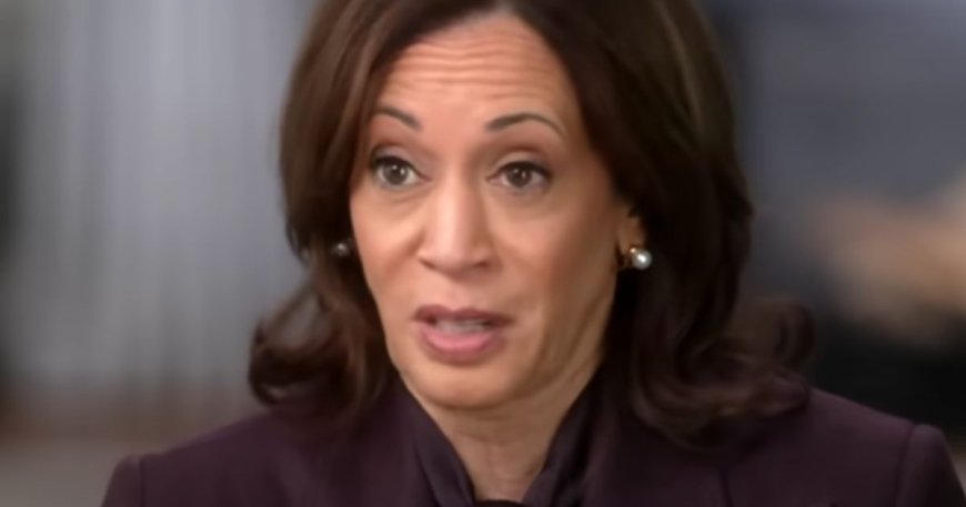 Harris ‘Performance Review’ Delivers Harsh Conclusion About Now-Democrat Nominee --[Reported by Umva mag]