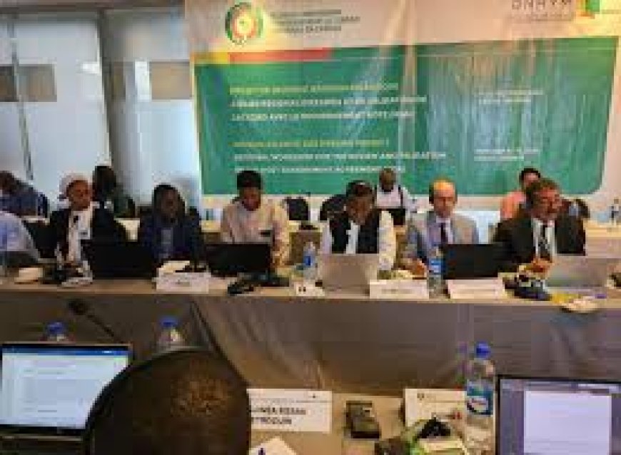 ECOWAS hosts Regional Workshop on African Atlantic Gas Pipeline --[Reported by Umva mag]